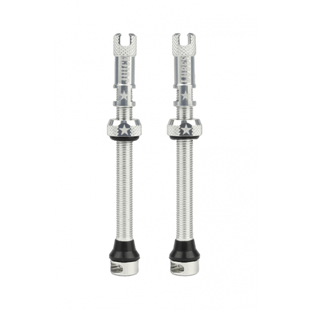 Juice Lubes Valves Silver / 65mm Tubeless Valves