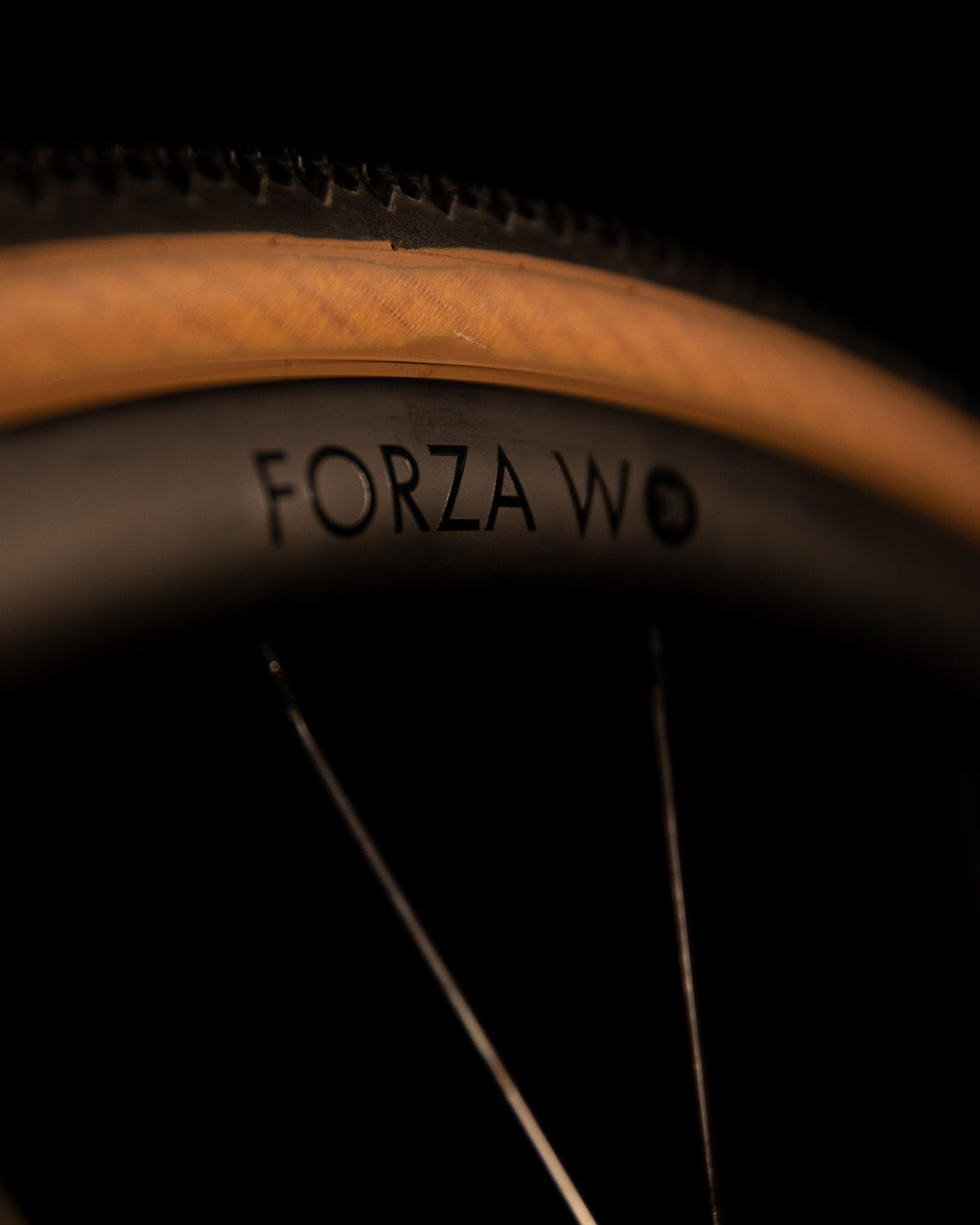 Pacenti Wheelset FORZA-C Wide 30mm Carbon Disc Wheelset 700c