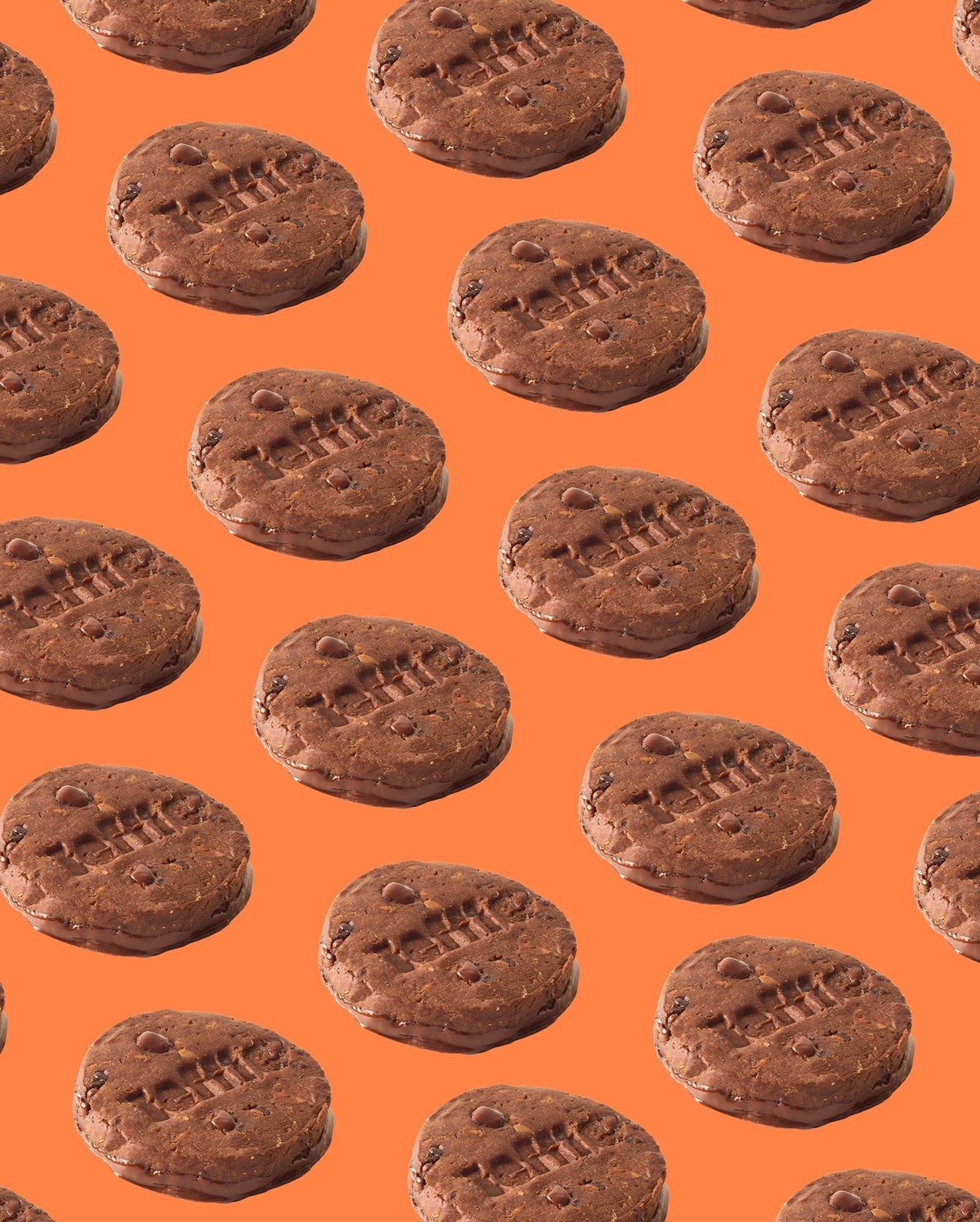 The Teff Cookie Company Energy Bars Chocolate Orange